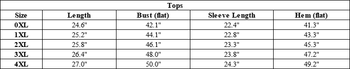 Women’s Plus Size Fake two-piece Color Block Long Sleeve Top