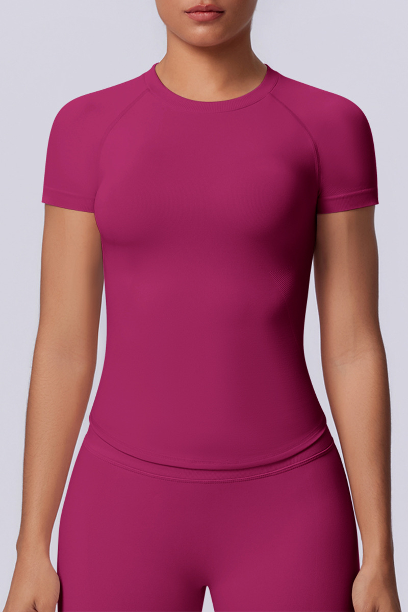 Women's Summer Seamless Solid High Stretch Breathable Tee