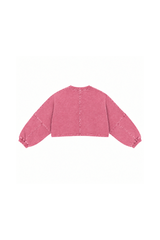 Womens Vintage Washed Cropped Crewneck Sweatshirt