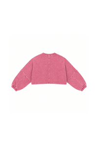 Womens Vintage Washed Cropped Crewneck Sweatshirt