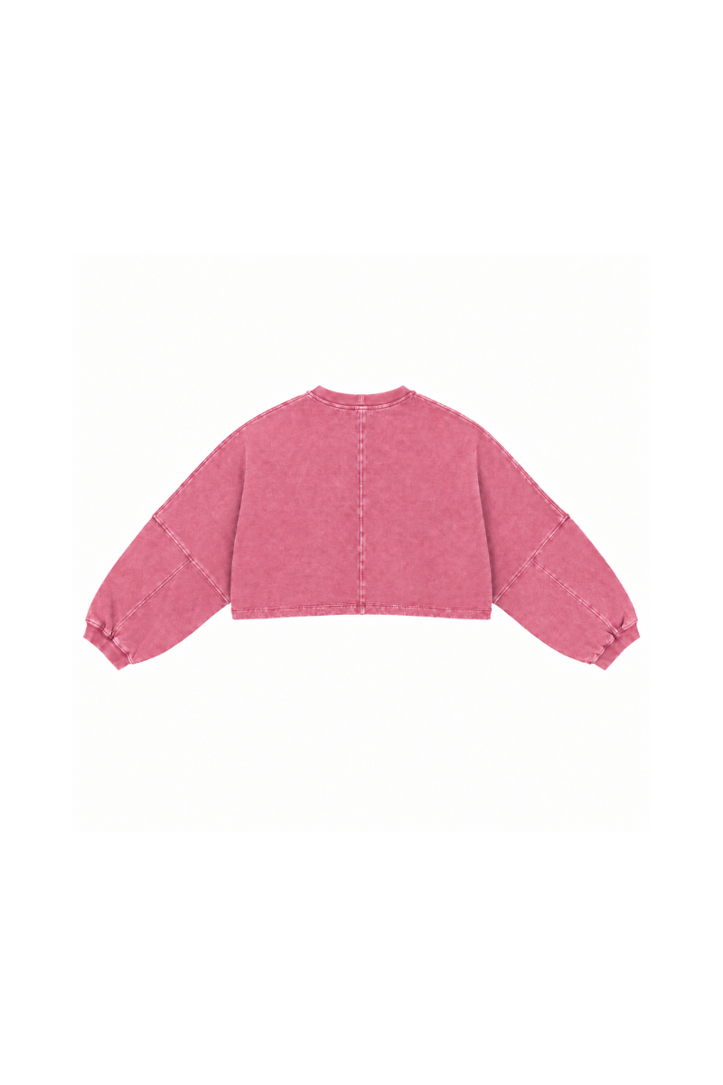Womens Vintage Washed Cropped Crewneck Sweatshirt