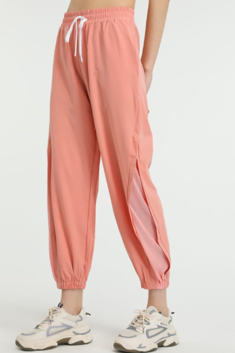 Women's Side Mesh Panel Pocket Quick Dry Athletic Jogger