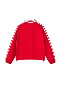 Unisex Preppy Fall 100% Cotton Side Striped Trim Sweatshirt