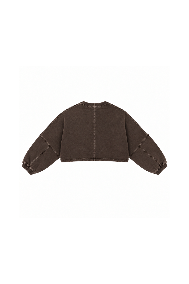 Womens Vintage Washed Cropped Crewneck Sweatshirt