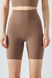 Women's Summer High Waisted Cooling Sensation Yoga  Shorts