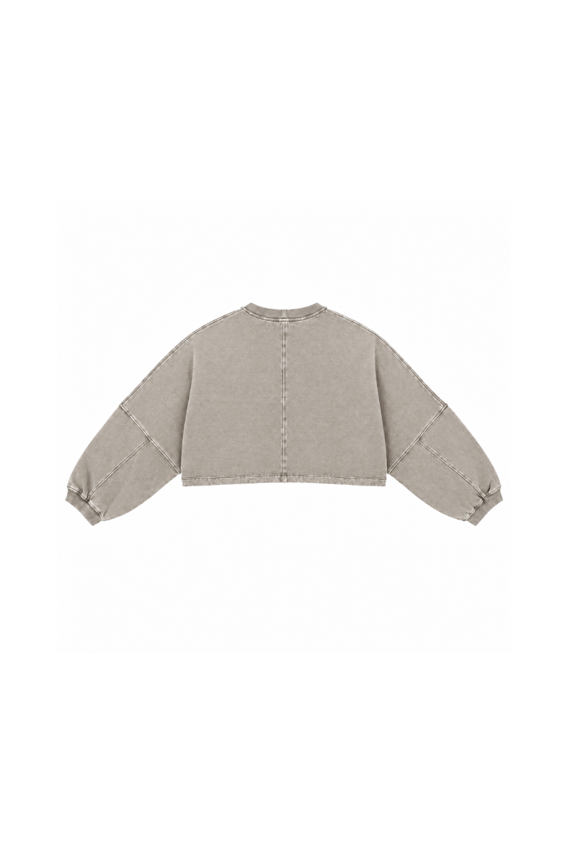 Womens Vintage Washed Cropped Crewneck Sweatshirt