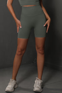 Seamless Yoga Sport Shorts