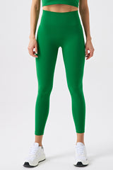 Women Eco Nylon Tummy Tuck High Waist Fitness Running Yoga Exercise Leggings
