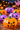 Halloween Pumpkin Funny Slow Rebound Squeeze Toy