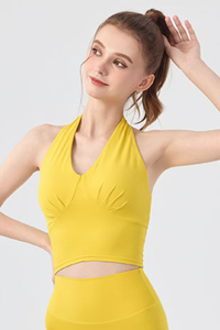 Women's Solid Color Halter Deep V Cropped Yoga Tank Top
