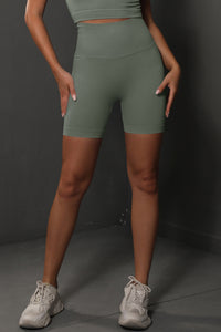 Seamless Yoga Sport Shorts