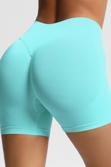 Seamless Booty Lifting Shorts | Low-Rise Workout Shorts