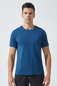 Men Stripe Quick Dry Athletic Short Sleeve T-Shirt
