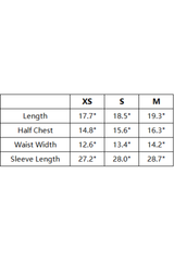 Women's Fall Slim-Fit Stripe Contrast  Long Sleeve T-Shirt