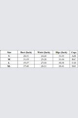 Women's V-Neck Wide Strap High-Waisted Solid Bikini