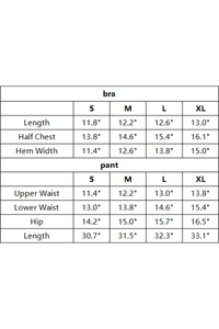 Women's Seamless Triangle Cup Bra&No Front Seam Legings Set