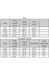 Women's Color Block Crossover Waist Stretchy 2-Piece Sets