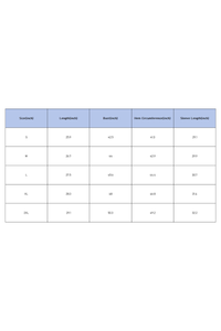 Men's Half Zip Raglan Quick Dry Athletic Long Sleeve T-Shirt