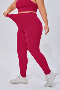 Plus Women's Sports Bra & Butt-Lifting Yoga Leggings Set