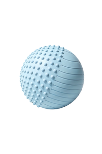 9.8" Textured Spiky Massage Yoga Fitness Ball