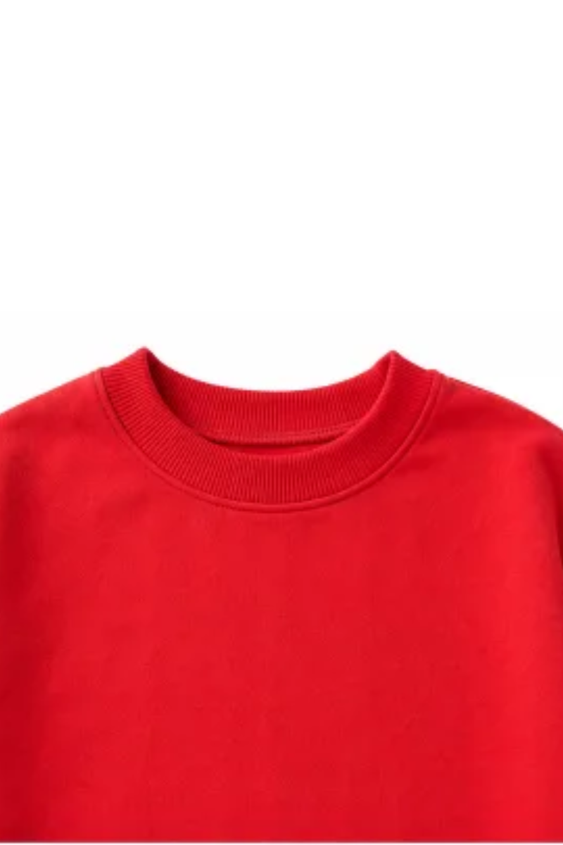Plus Size Women Fall Gingham Patchwork Mock Neck Sweatshirt