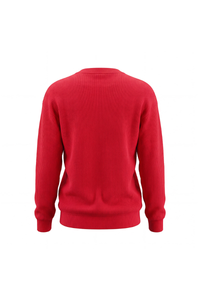 Women's Winter Christmas Color Block Bow Loose Knit Sweater