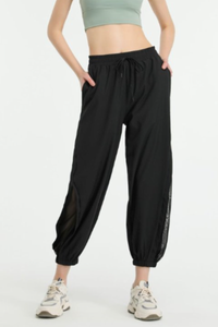 Women's Side Mesh Panel Pocket Quick Dry Athletic Jogger