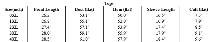 Plus Size Women's Loose Slit Semi-Sheer Long Sleeves Tee