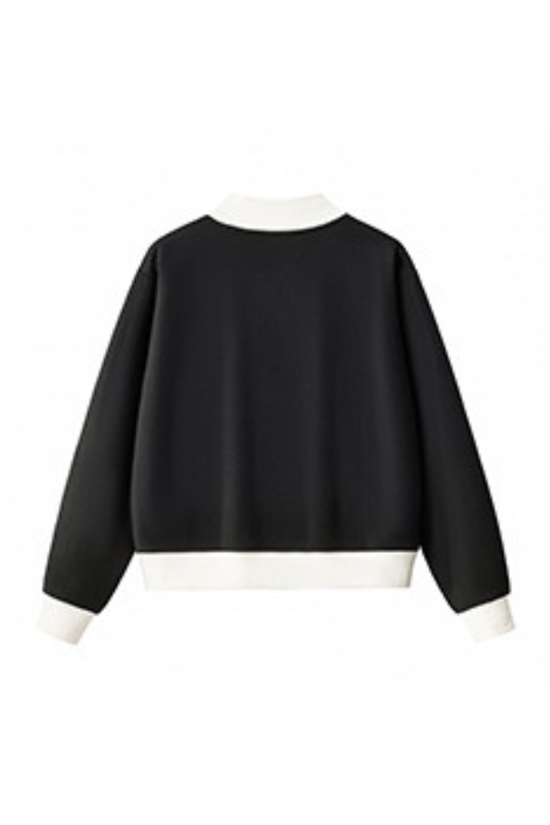 Women's Fall Cozy Fleece Mock Neck Color Block Sweatshirt