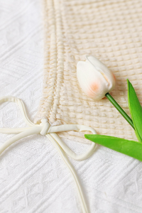 Women's Halter Pleated Side Tie 3 Piece Bikini Set