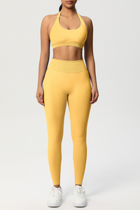 Women Seamless Knit Yoga Set: Halter Back Sports Bra + Sculpting Leggings