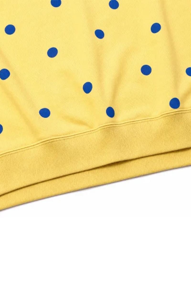 Plus Size Women's Fall Polka Dot Loose Fit Pullover
