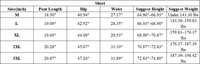Men's Outdoor Quick-Drying Casual Sports Shorts