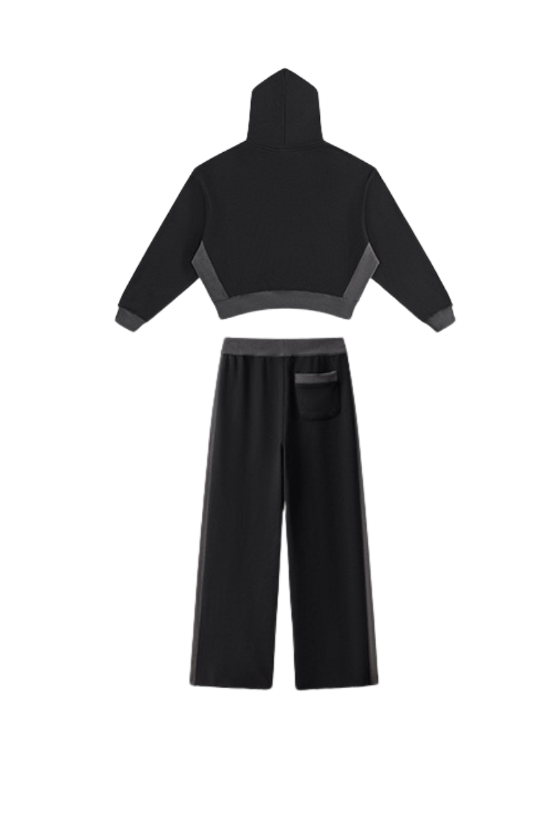 Women's Fall Color Block Set:Cropped Hoodie And Sweatpants