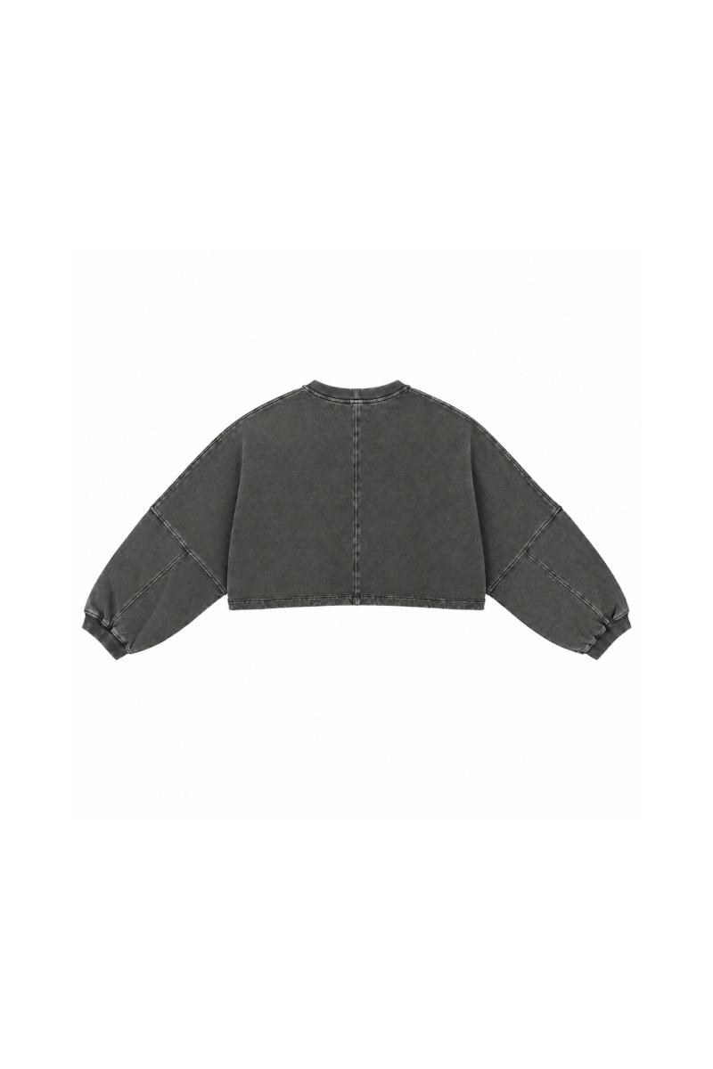 Womens Vintage Washed Cropped Crewneck Sweatshirt