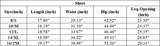 Men's Quick-Drying Double-Layer Casual Fitness Sports Shorts